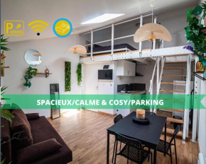 Le charmant accueil viennois/T2/wifi/cosy/parking